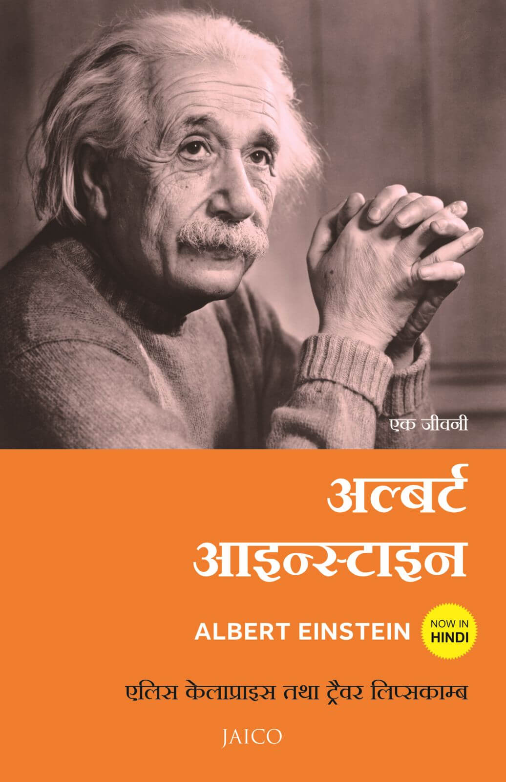 albert einstein biography hindi